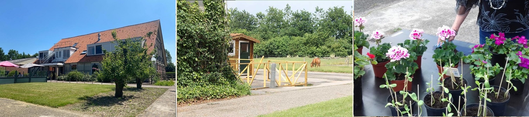 Hoeve Marant